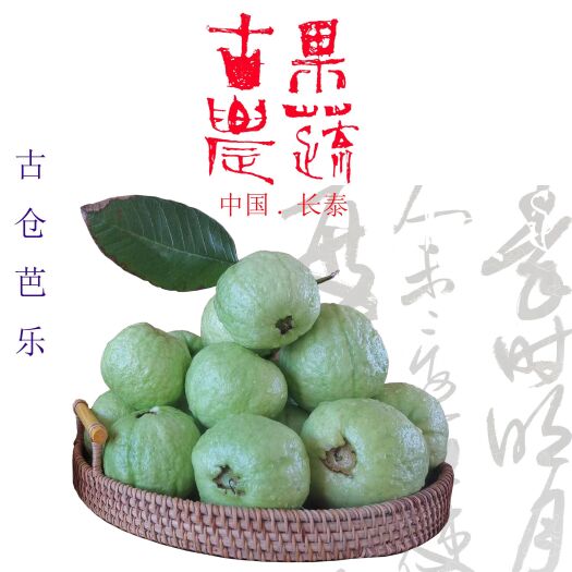漳州芭乐