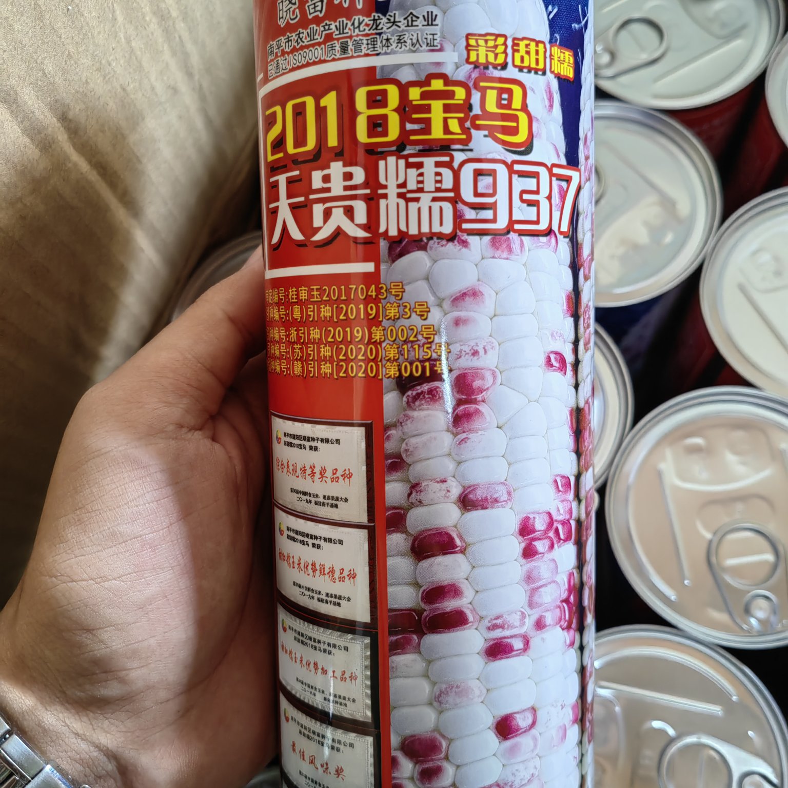 东方市2018宝马天贵糯937彩甜糯玉米种子，产量高口感好，品质好