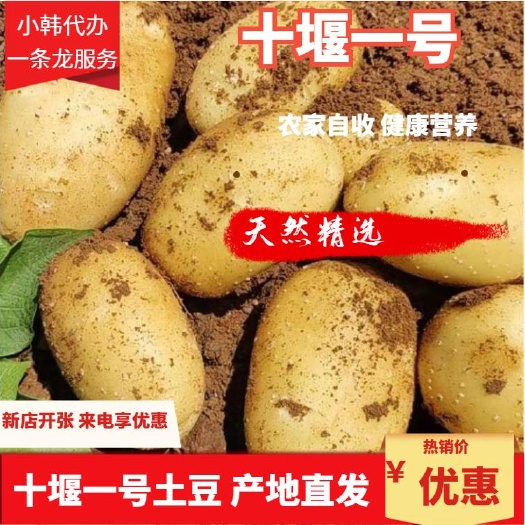 土豆，十堰一号土豆绥中县地区大量出售！货源充足！