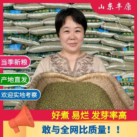 临沂明绿豆  芽豆 东北食品绿豆 商超电商货 工厂定制 一手货源