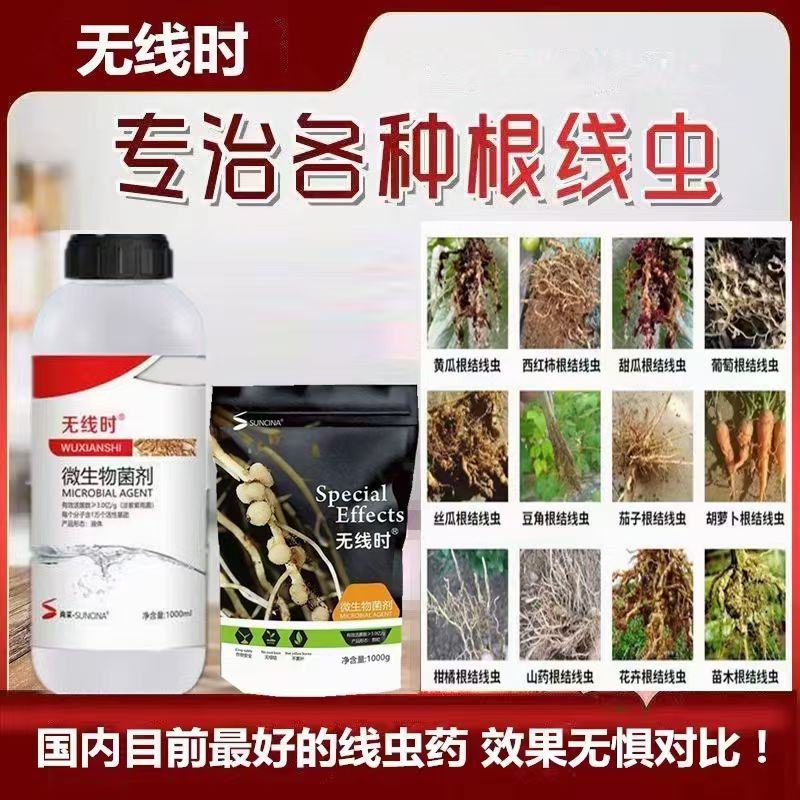 商丘线虫药地下害虫淡紫紫孢菌无线时专治根结线虫专业杀线剂根瘤根结