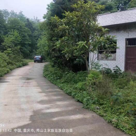 长沙重庆市秀山县兰桥镇民房90平出租，每年2000