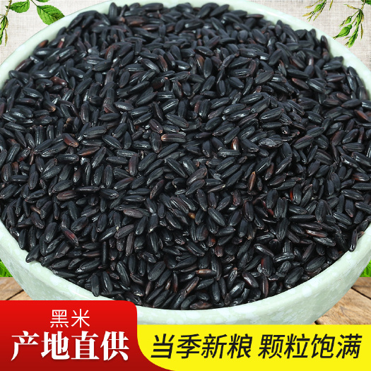 大量批发黑米 东北黑香米 黑珍珠 五谷杂粮粗粮黑米，量大从