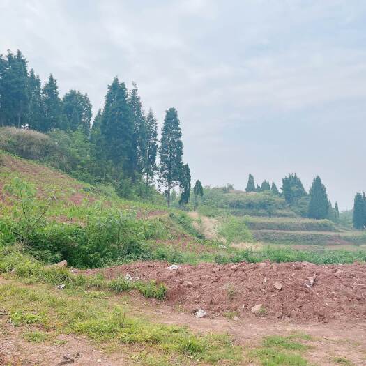 秀山重庆市荣昌区铜鼓镇500亩厂房建设用地出租