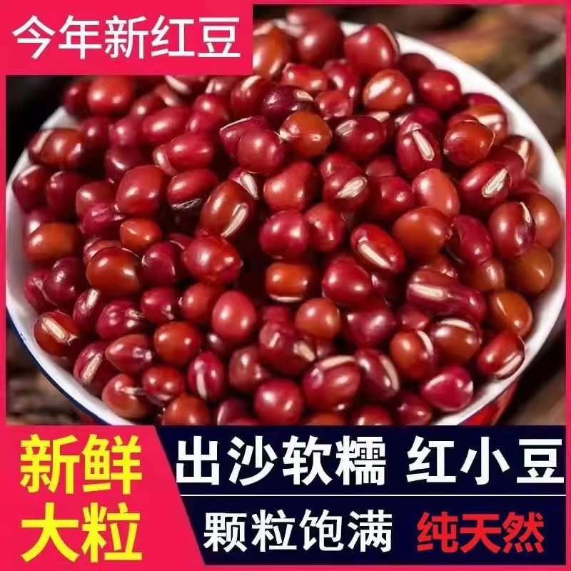 临沂红豆  现货供应东北大粒红小豆  小粒 食品红小豆量大从优