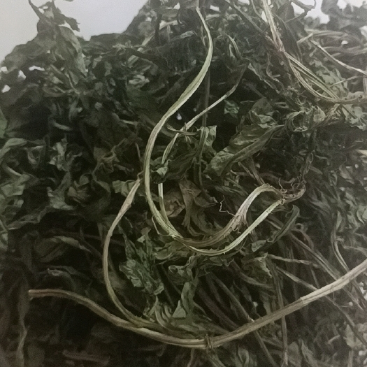 金秀县排香草