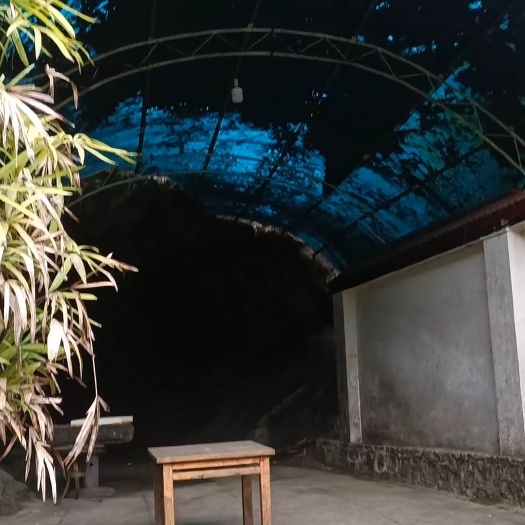 秀山重庆秀山一景区转让，面积15亩，基础设施这边齐全，有一个本地
