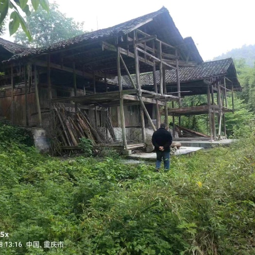重庆市重庆市荣昌区铜鼓镇300亩蔬菜用地出租