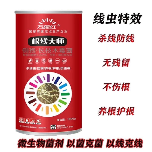 新郑市根结线虫专治——根线大师 能防能治 不伤根不伤苗