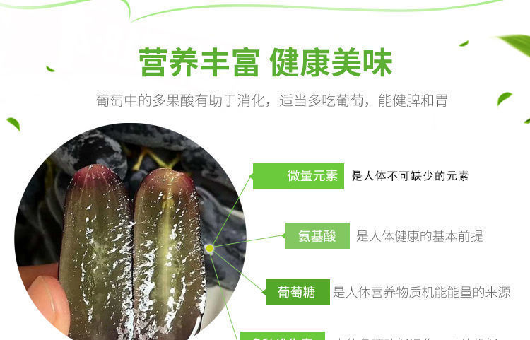 順豐包郵甜蜜藍(lán)寶石葡萄新鮮金手指葡萄汁多脆甜無核精美禮盒裝