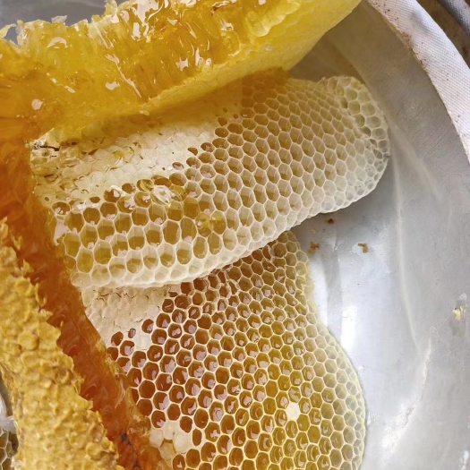 柳州蜂蜜冬蜜
