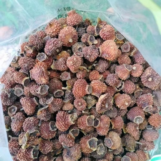 毕节贵州毕节刺梨种植基地刺梨干