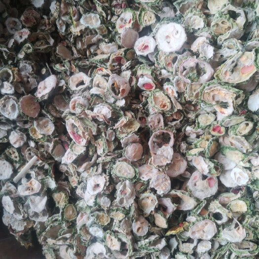 寿光市晒干苦瓜干烘干苦瓜干一手货源量大从优
