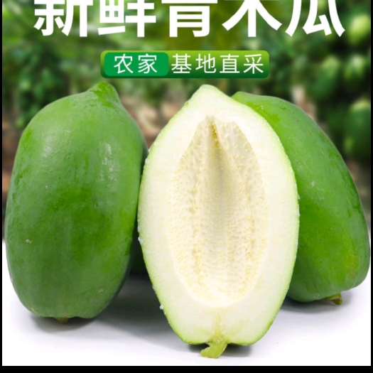 徐闻县精品广东省徐闻县青木瓜