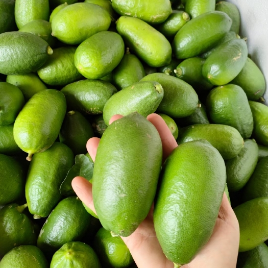 南宁香水柠檬