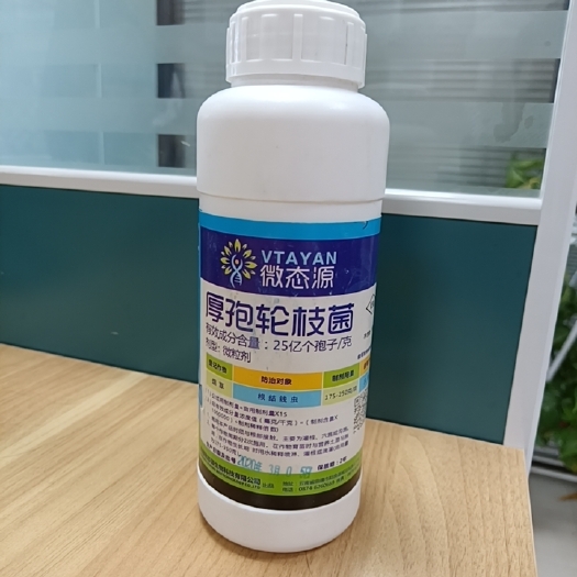 郑州厚孢轮枝菌