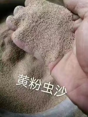黄粉虫粪便。虫沙，蛋白20