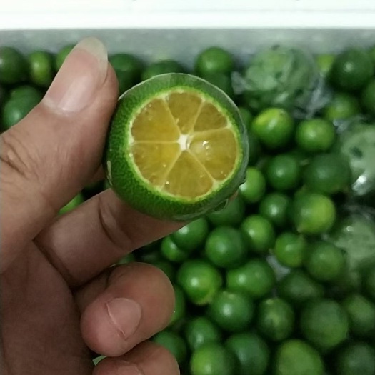 合肥青金桔