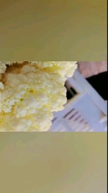 永登县来自兰州的白面小米粒散花