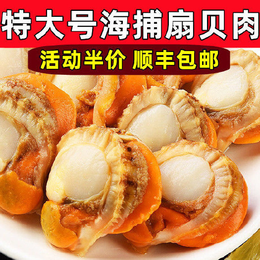 特大号扇贝肉新鲜冷冻扇贝贝类海鲜瑶柱海鲜水产