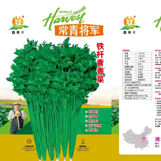 昌邑市原产地中叶铁杆青香菜种子