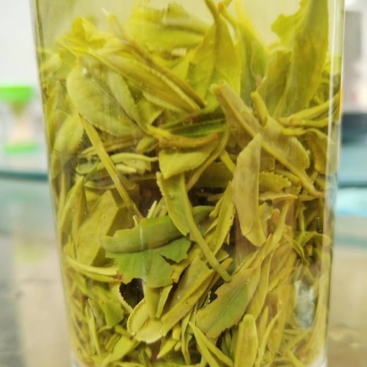 信阳信阳毛尖绿茶手工茶口粮茶