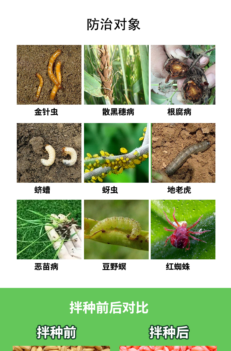 27％苯醚咯噻虫小麦拌种剂防虫防病抗逆促增产小麦拌种剂