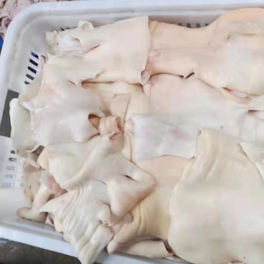郑州牛蹄皮，质量好，实拍图片，一手货源，全国冷链发货