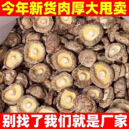 留坝县香菇808 二级统货