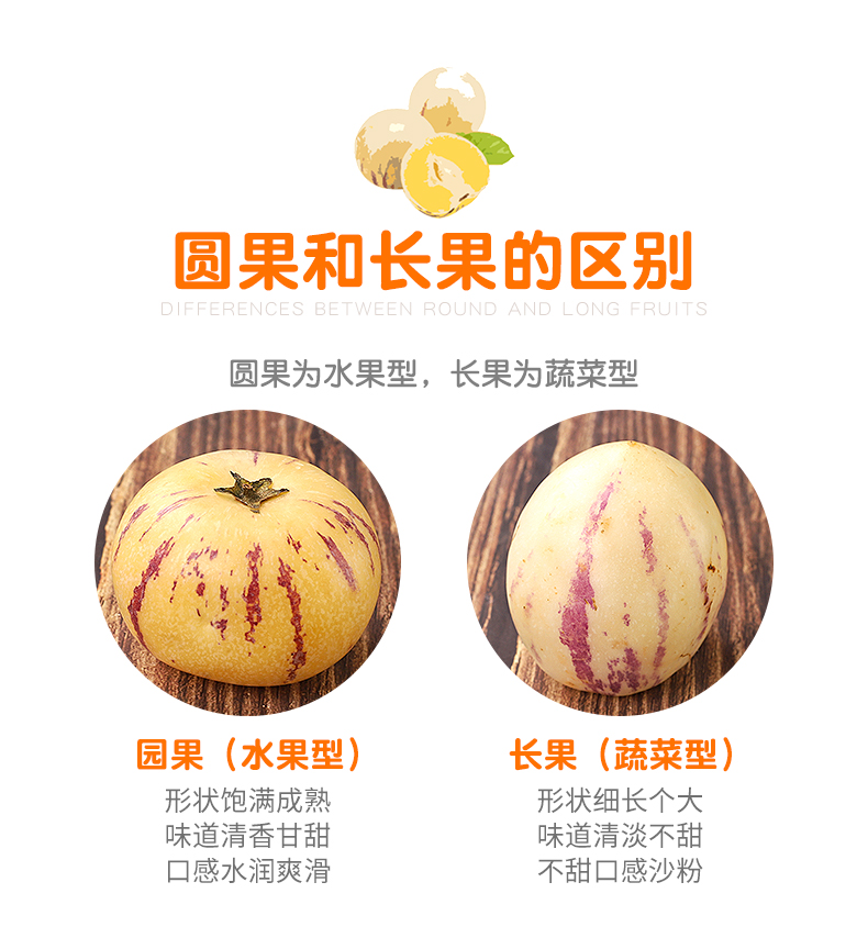 云南人参果石林人参果5斤包邮10斤大果圆果云南水果一件代发