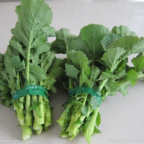 广南县万亩油菜