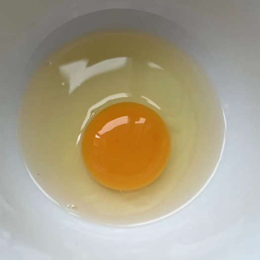 上海正宗土鸡蛋