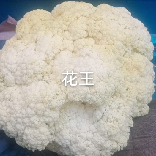 定西大量上市