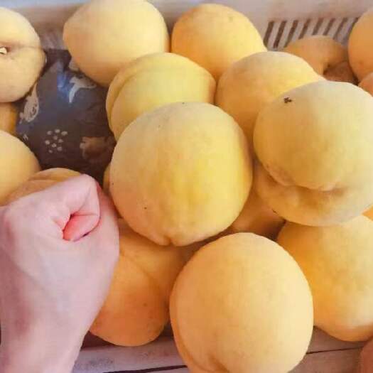 武汉锦绣黄桃