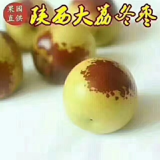 大荔县陕西万亩，大棚冬枣，口感脆甜，糖度高。货源充足质量保证产地直