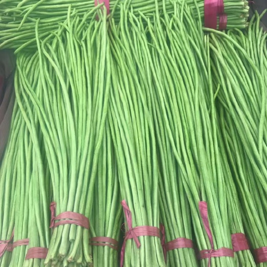 邯郸精品长豆角