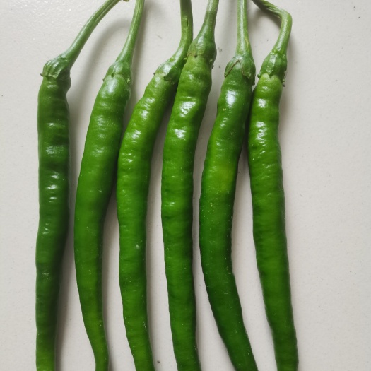 长阳县3号线椒，自产自销，稳定供应，质量保证，还有其他各种辣椒