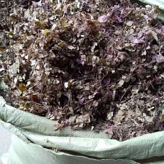 合肥风柜斗草