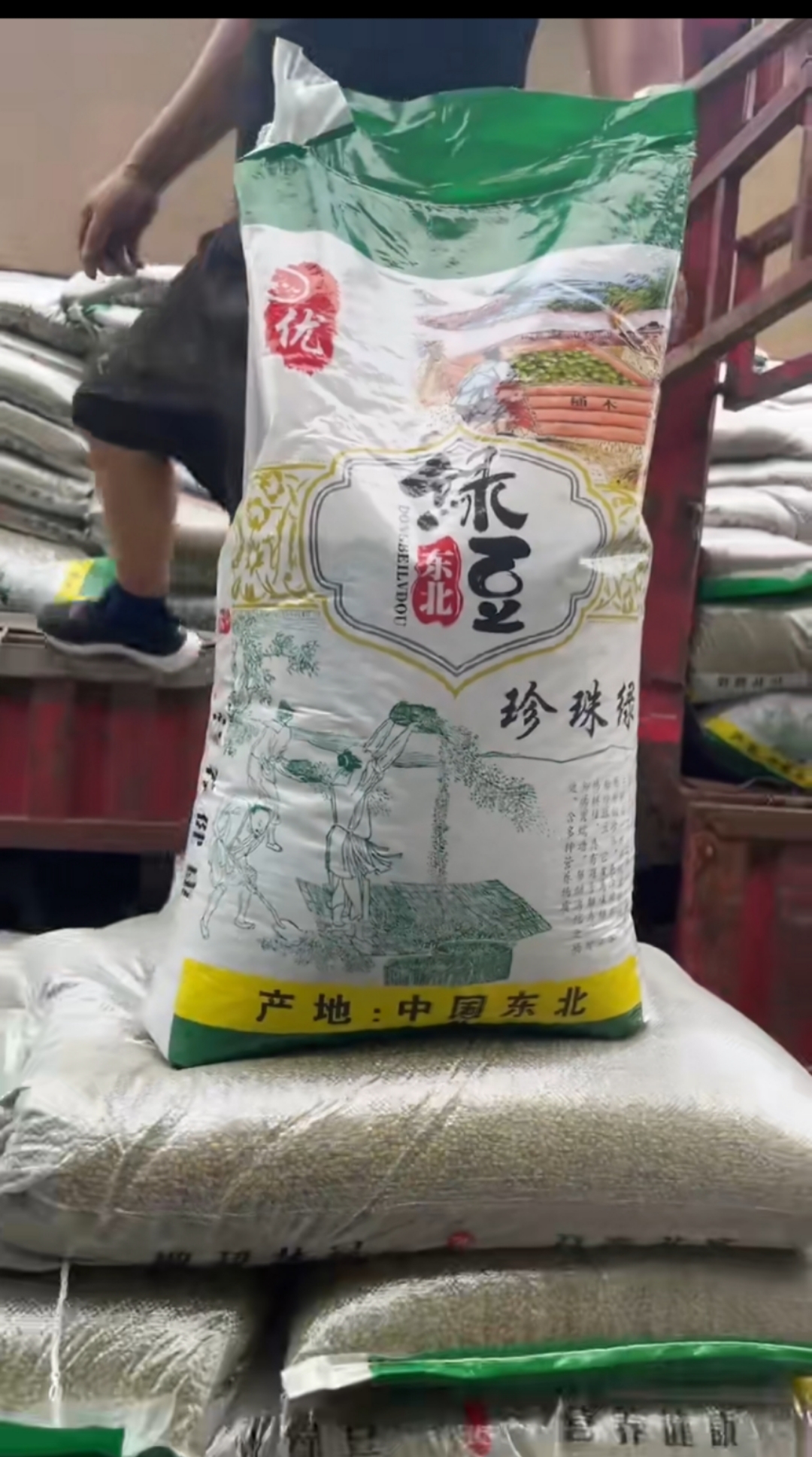 缅甸大产区油绿豆，商品绿豆