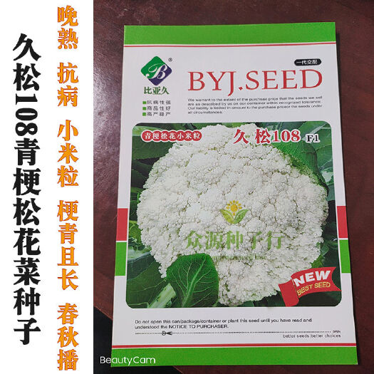 久松108天青梗松花菜种子晚熟花松散小米粒抗寒蔬菜种