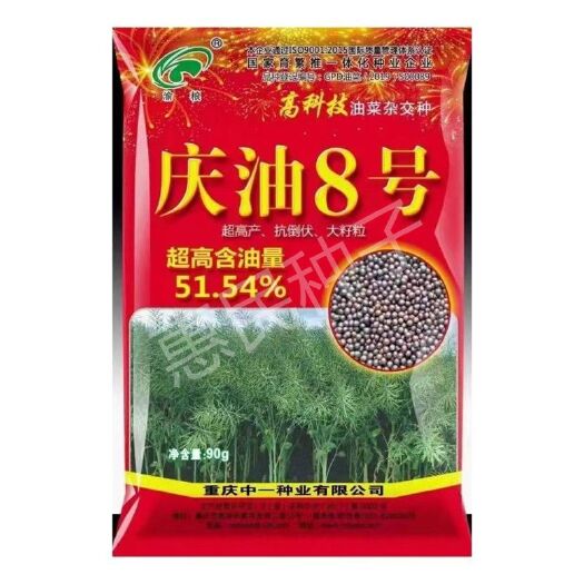 庆油8号油菜甘蓝型杂交种籽中熟产量高抗病抗倒抗裂荚高含油量