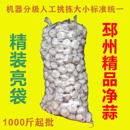 邳州市邳州大蒜零单