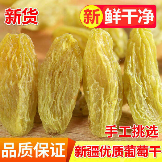 新货新疆吐鲁番市特产无核白葡萄干大颗粒葡萄干蜜钱果干零食批发