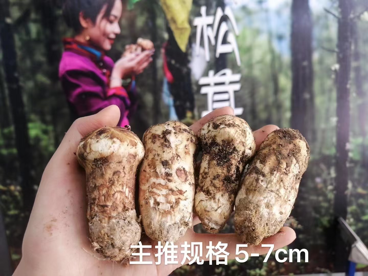 产地直发价格美丽