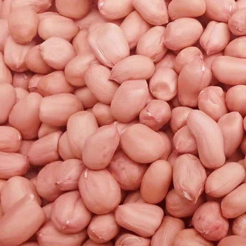 5斤包邮新去壳可选白沙花生农家自种散装批发