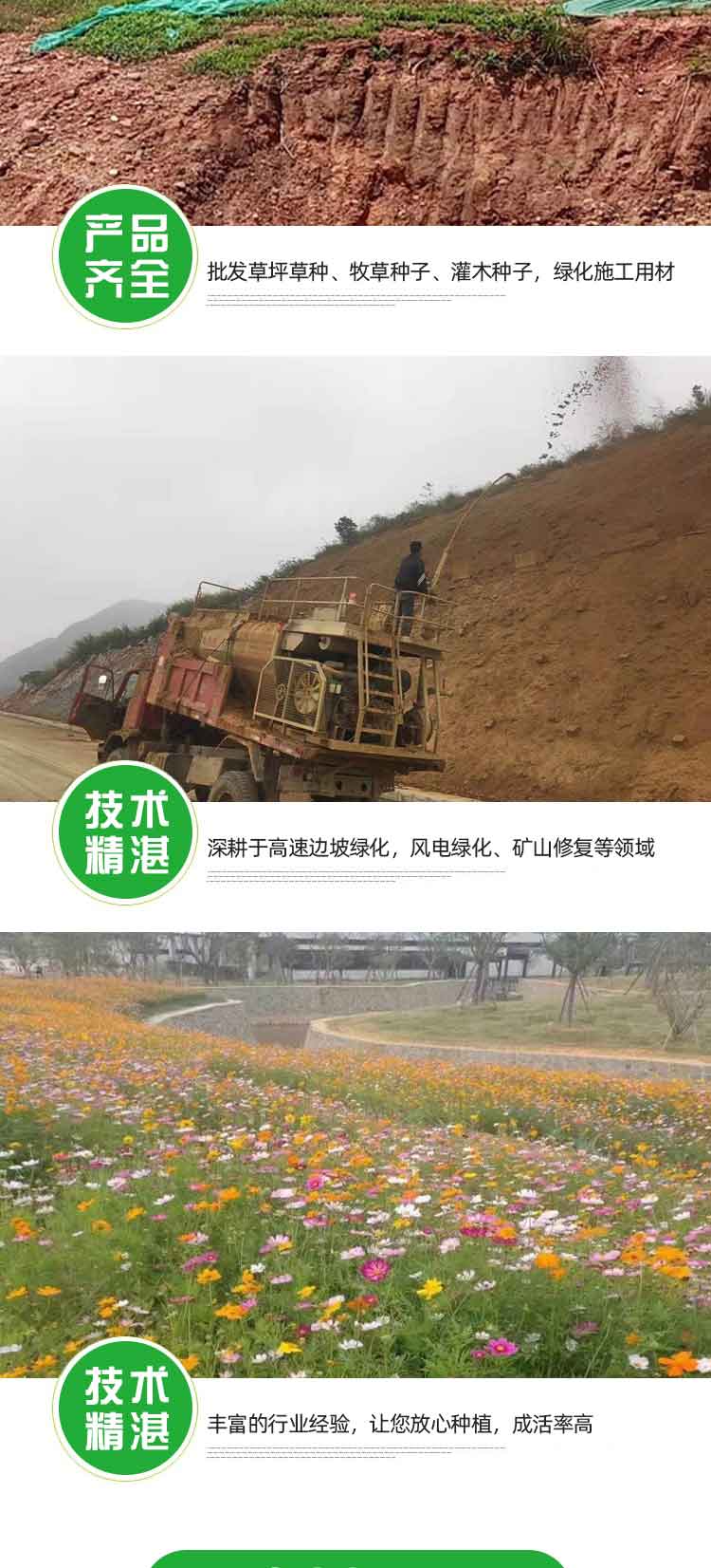 广西保水剂园林绿化农林土壤坑旱常用边坡绿化喷播植草反复吸收