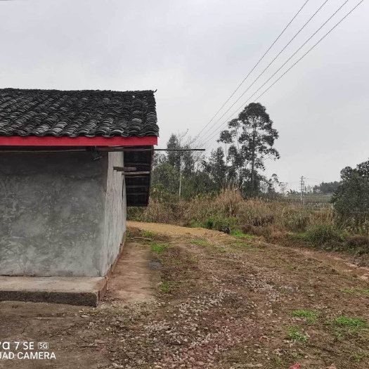 重庆市重庆璧山健龙镇260平独门农房出zu，可挖鱼塘