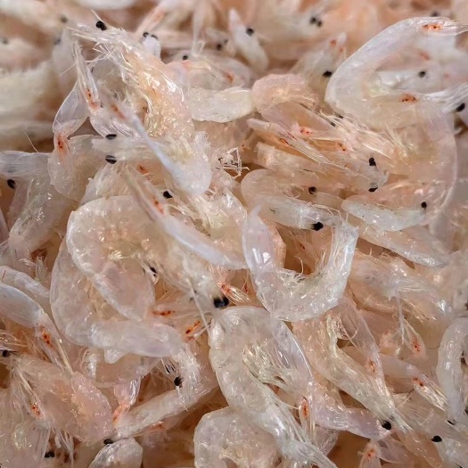 福鼎市虾皮