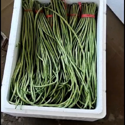 邯郸长豆角，豇豆