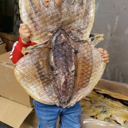 衡阳盐水大墨鱼